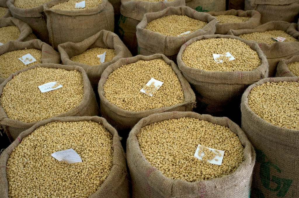 ETHIOPIA, LALA SALAMA – EA DECAF