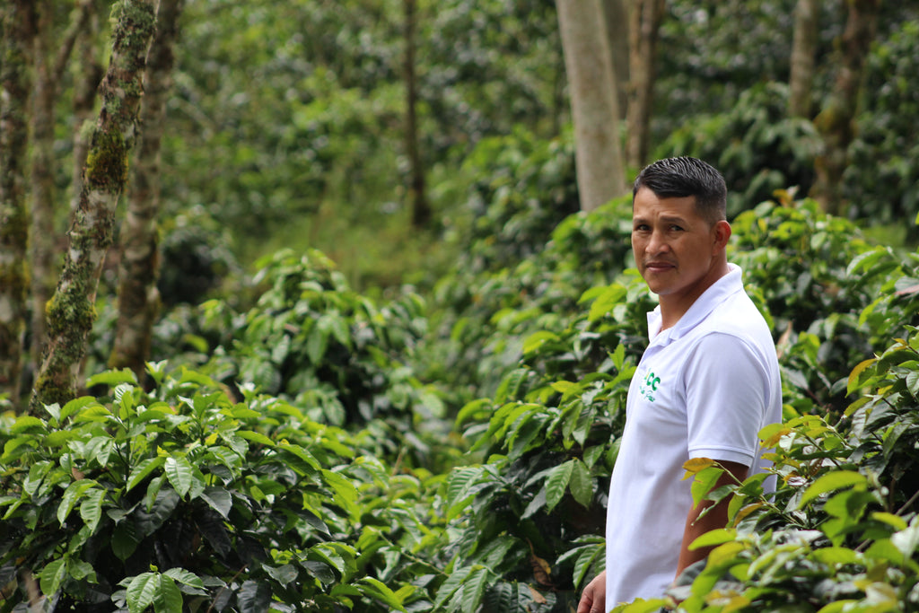 COLOMBIA, ATTIA EL SILENCIO