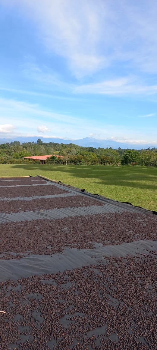 COLOMBIA, ATTIA EL SILENCIO