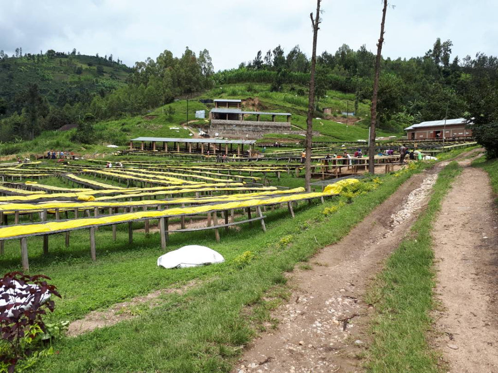 RWANDA, RUGAMBA 286