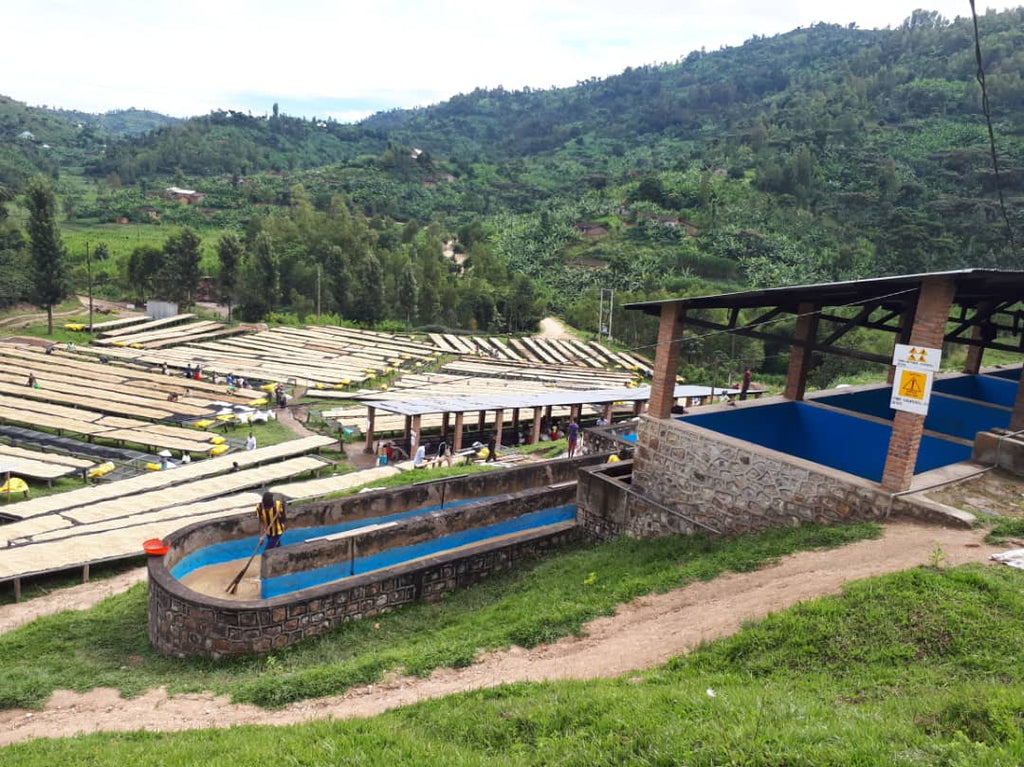 RWANDA, RUGAMBA 286